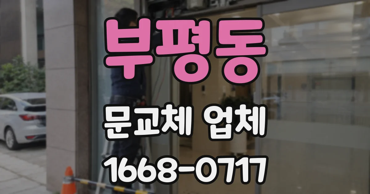 부평동 문교체 업체