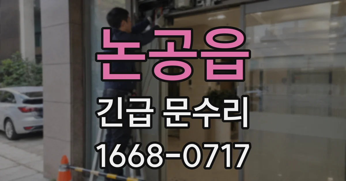 논공읍 긴급 문수리