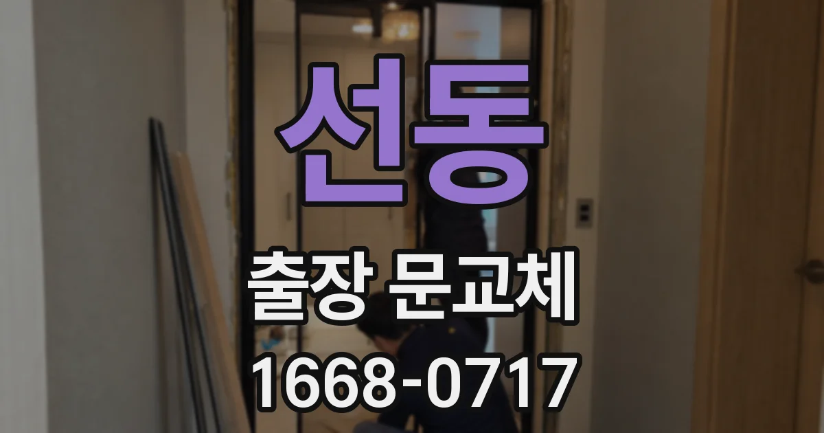 선동 출장 문교체