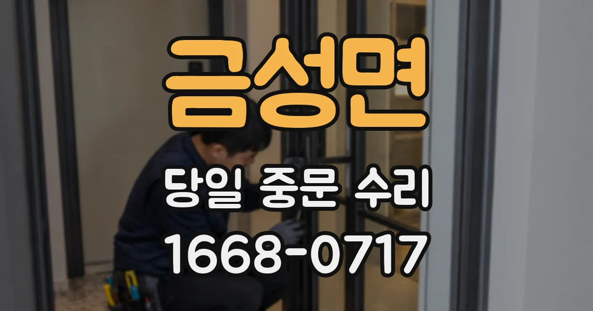 금성면 당일 중문 수리