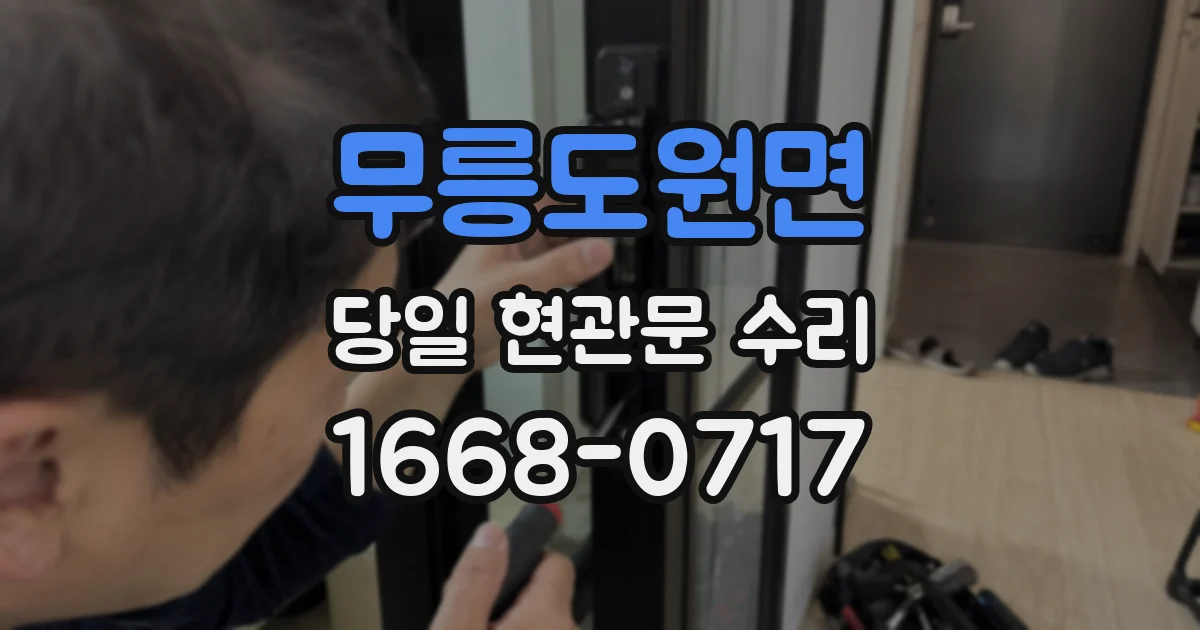 무릉도원면 당일 현관문 수리