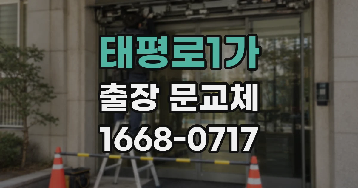 태평로1가 출장 문교체