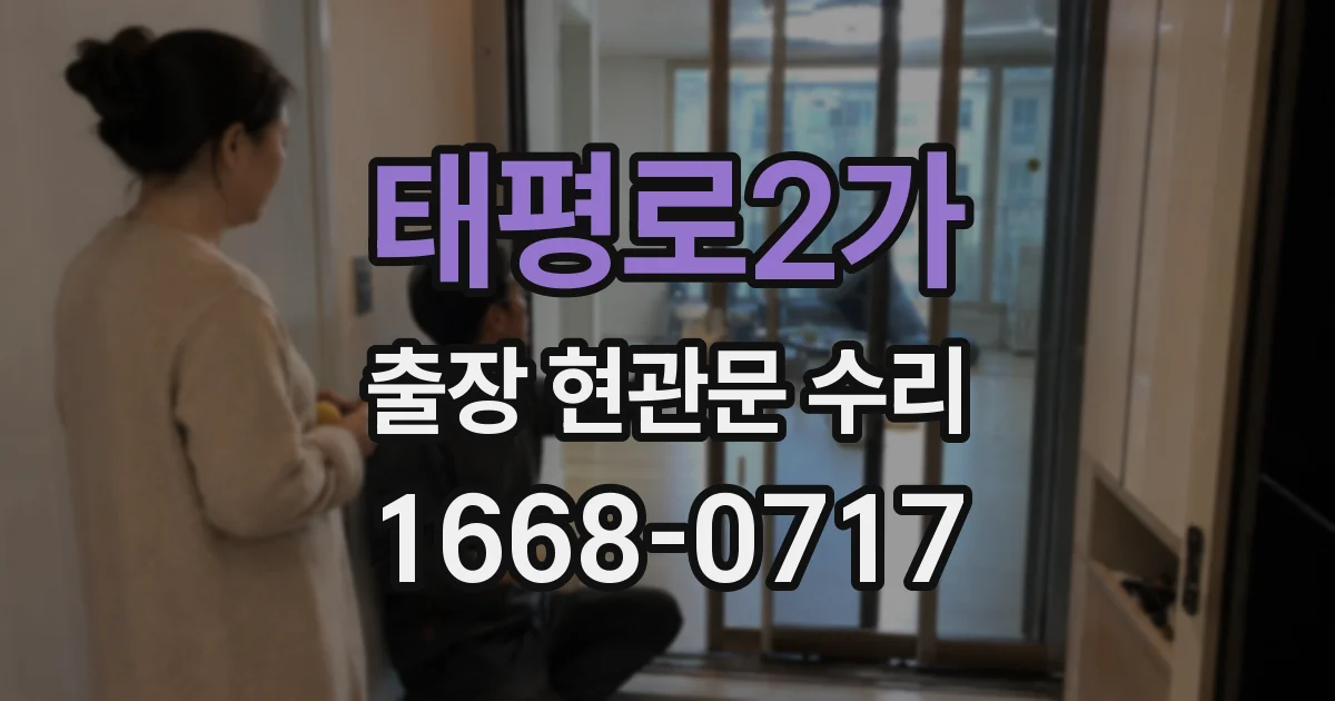 태평로2가 출장 현관문 수리