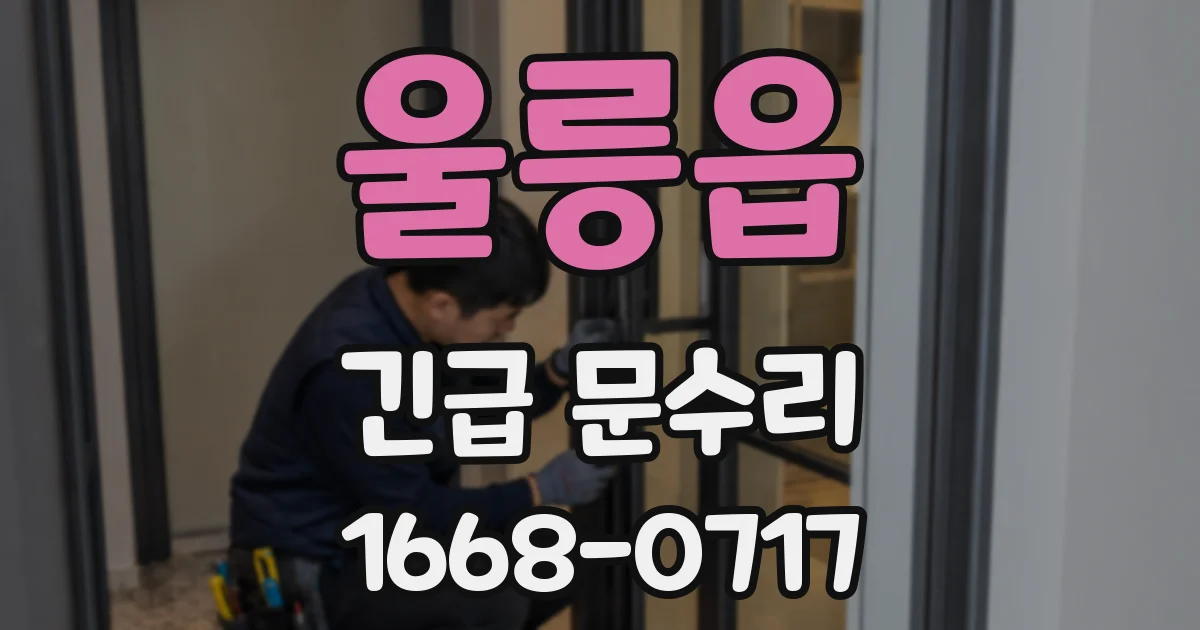 울릉읍 긴급 문수리