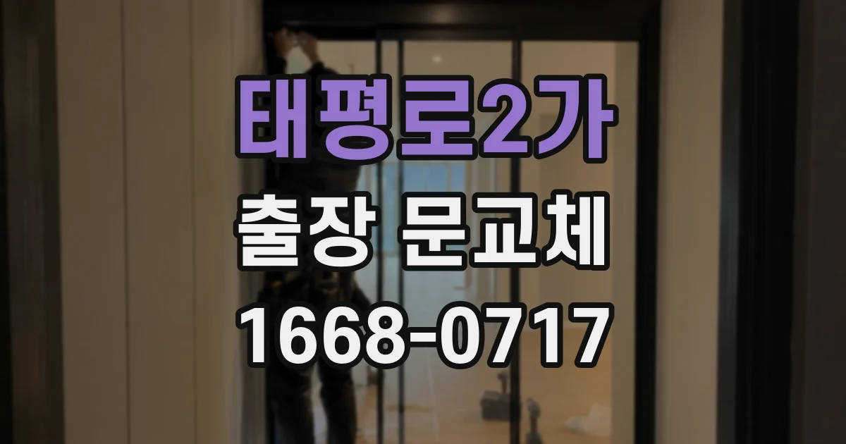 태평로2가 출장 문교체