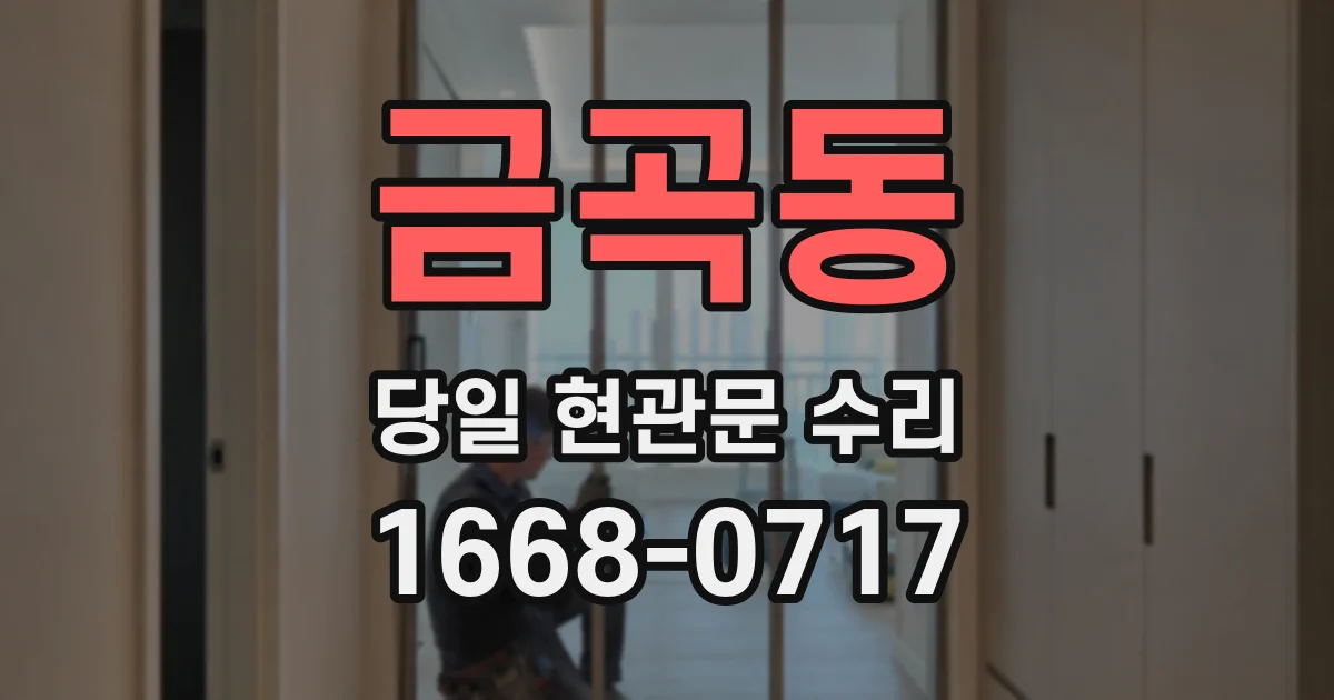 금곡동 당일 현관문 수리