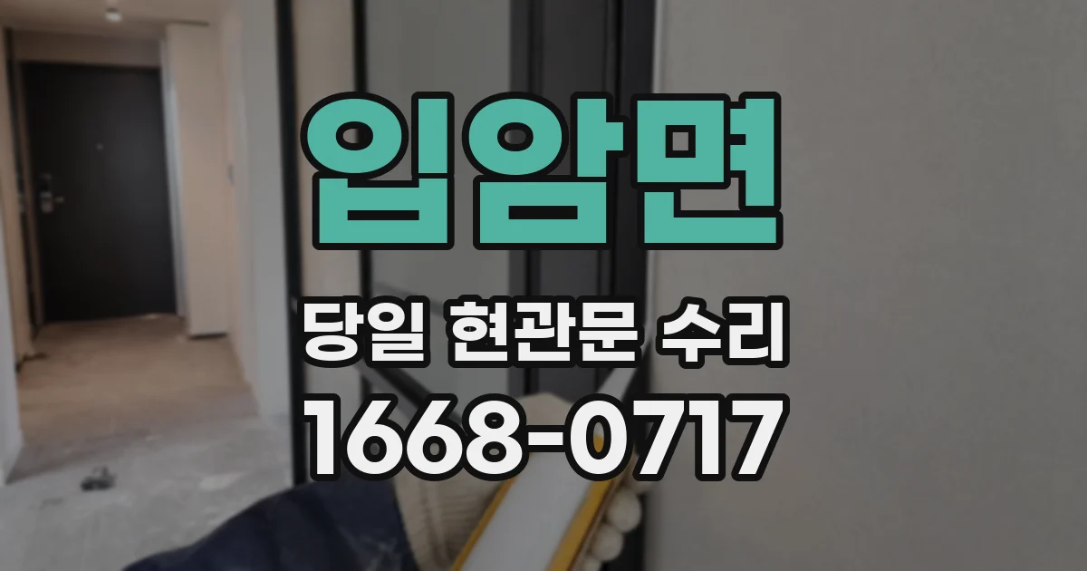 입암면 당일 현관문 수리