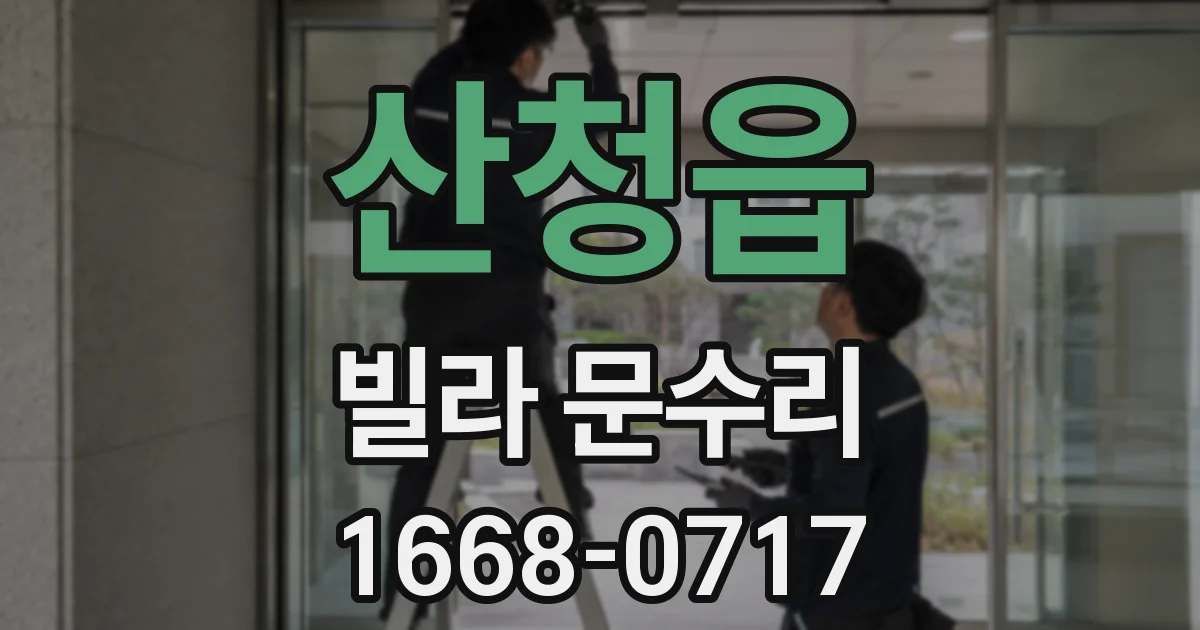 산청읍 빌라 문수리