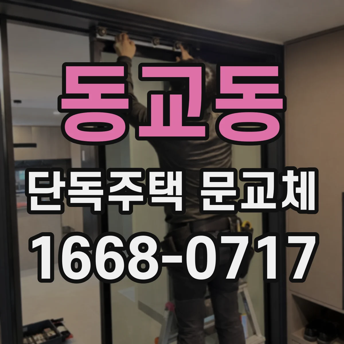 동교동 단독주택 문교체