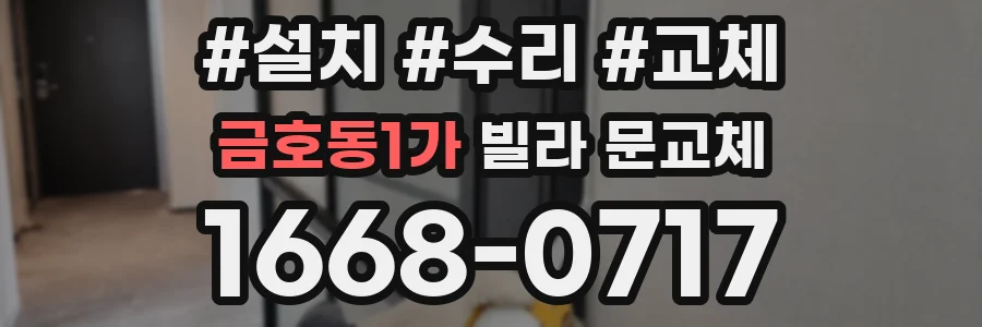 금호동1가 빌라 문교체