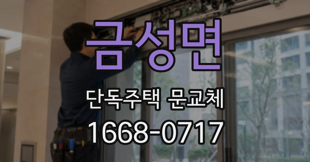 금성면 단독주택 문교체