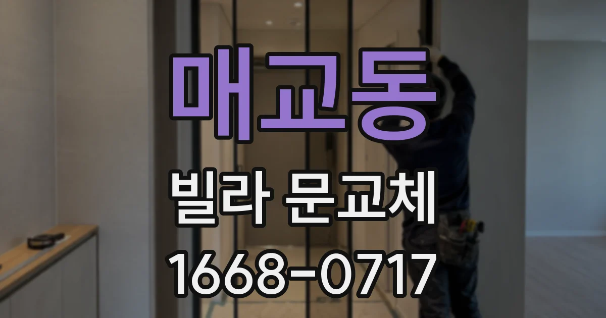 매교동 빌라 문교체