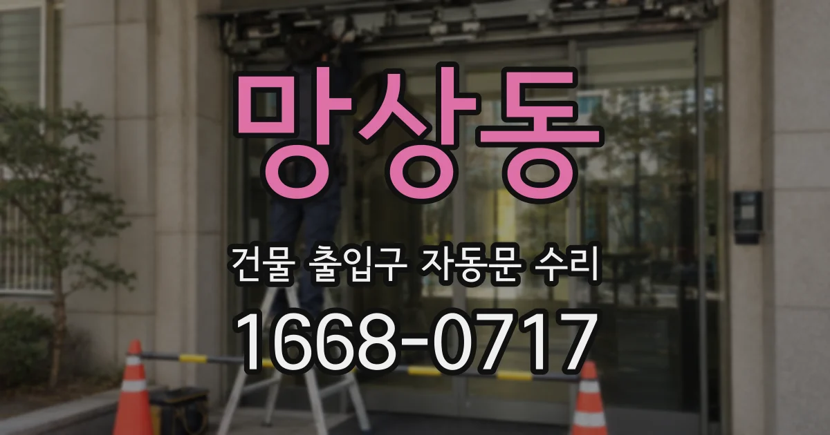 망상동 건물 출입구 자동문 수리