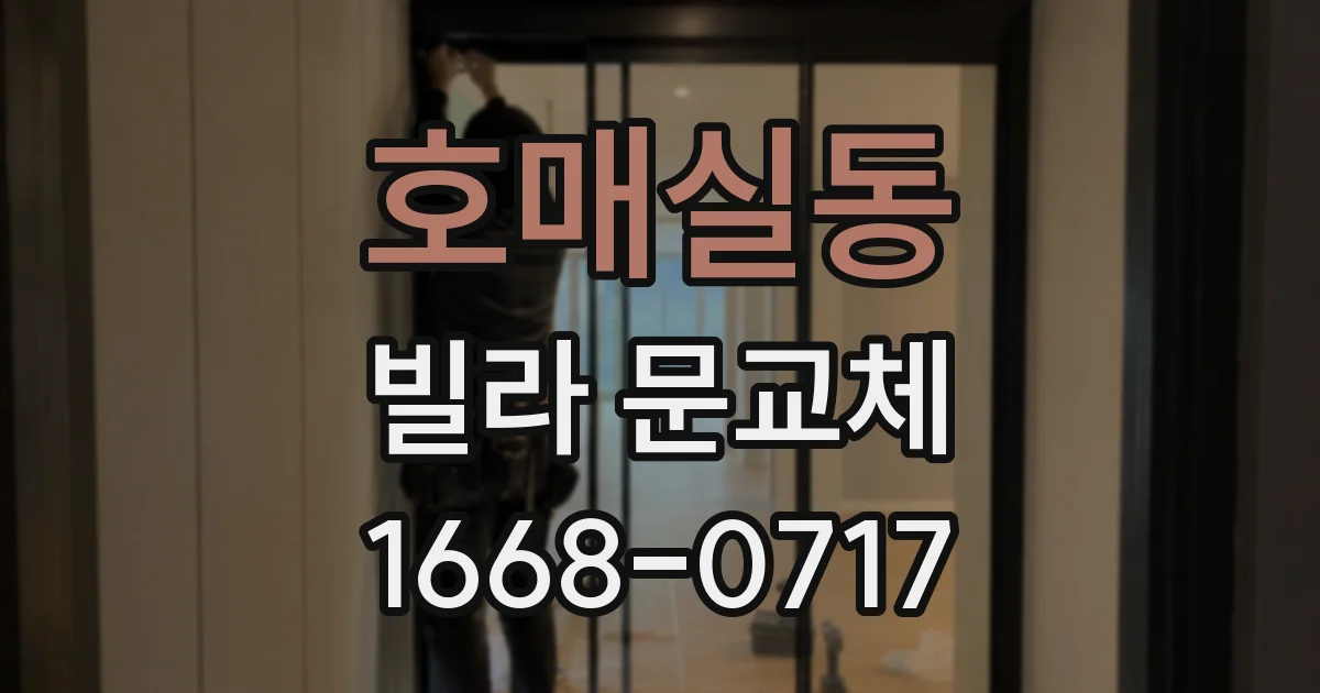 호매실동 빌라 문교체