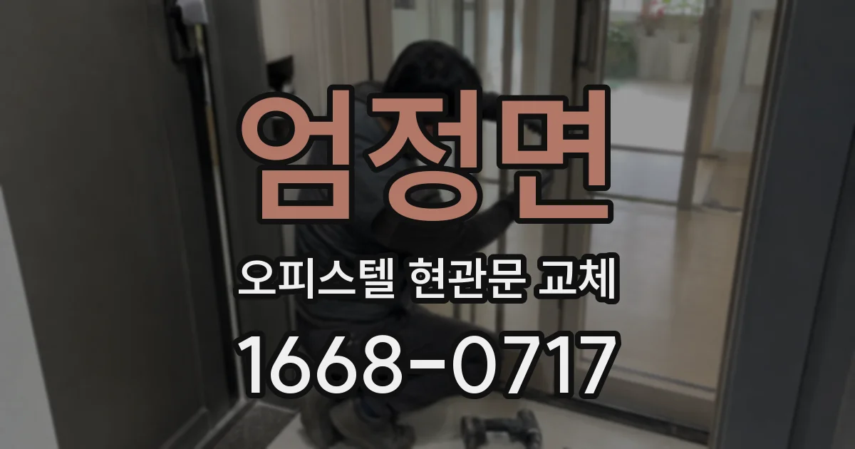 엄정면 오피스텔 현관문 교체