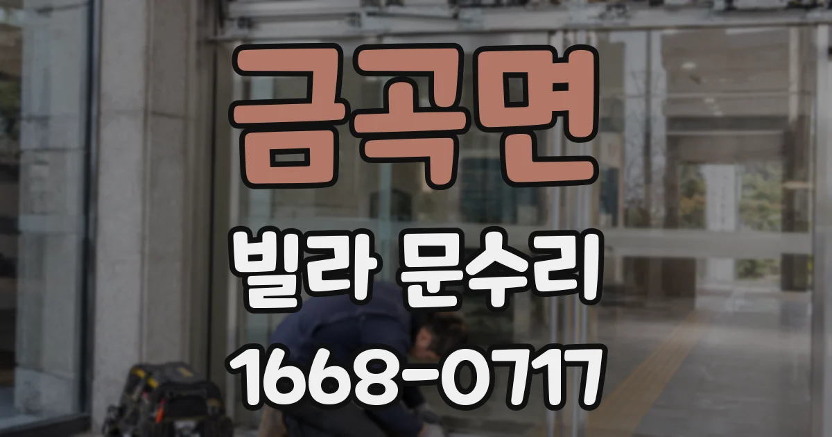 금곡면 빌라 문수리