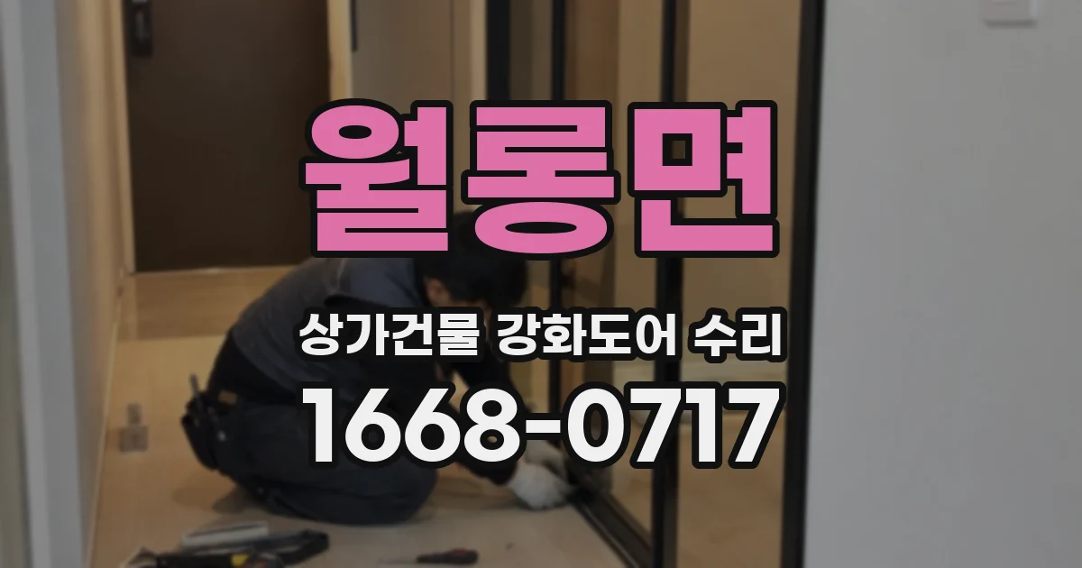 월롱면 상가건물 강화도어 수리