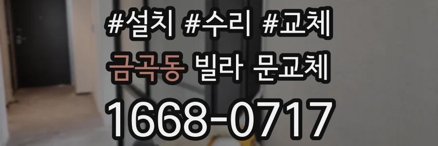 금곡동 빌라 문교체