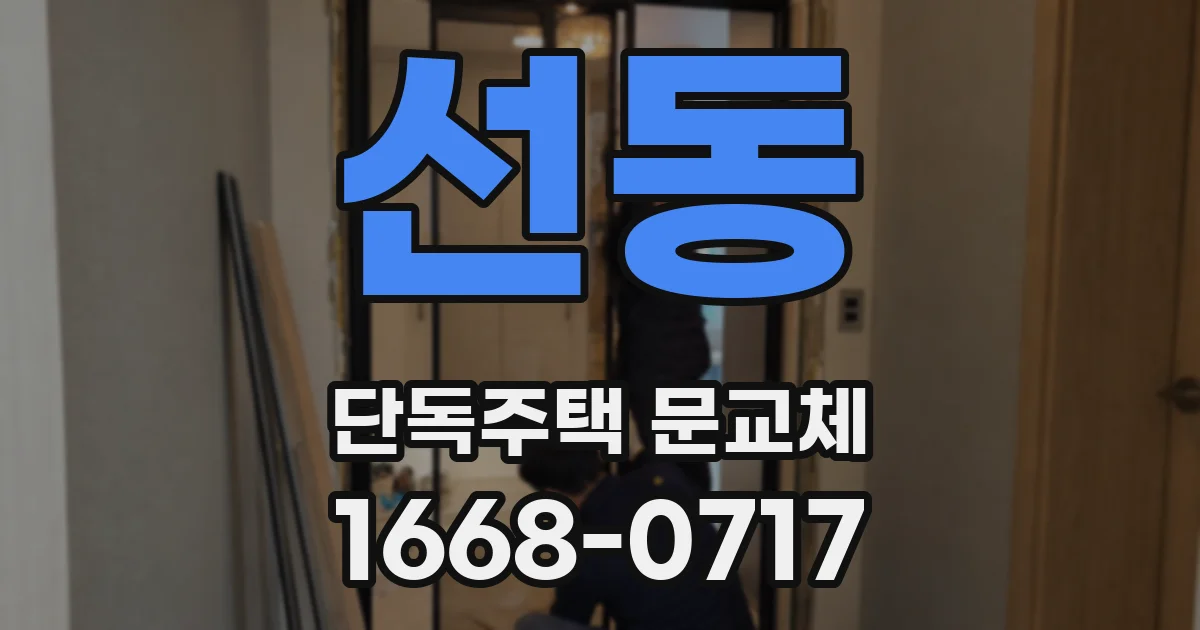 선동 단독주택 문교체