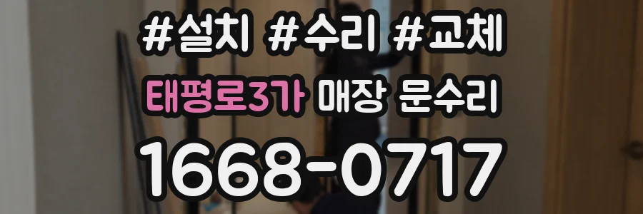 태평로3가 매장 문수리