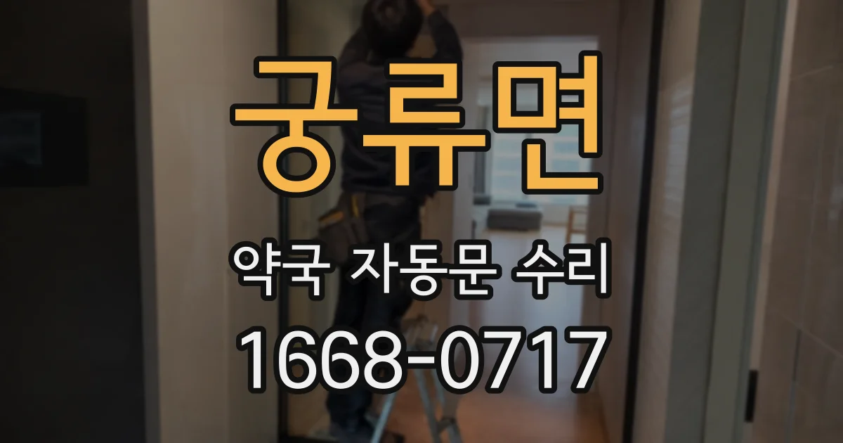 궁류면 약국 자동문 수리