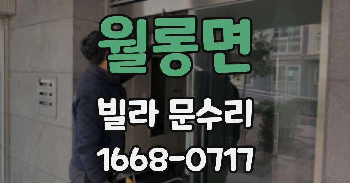 월롱면 빌라 문수리