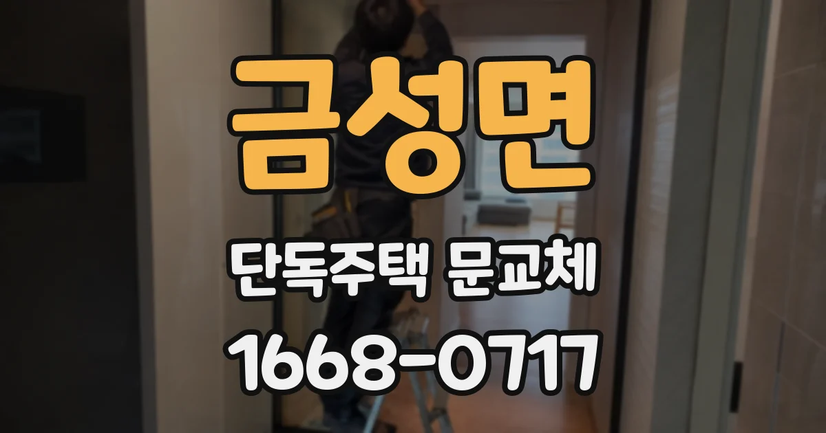 금성면 단독주택 문교체