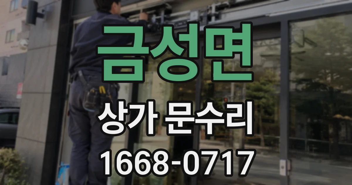 금성면 상가 문수리