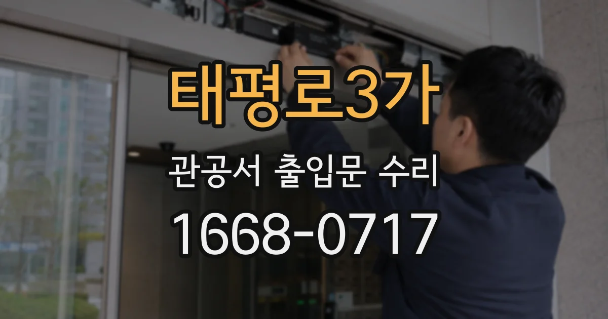 태평로3가 관공서 출입문 수리