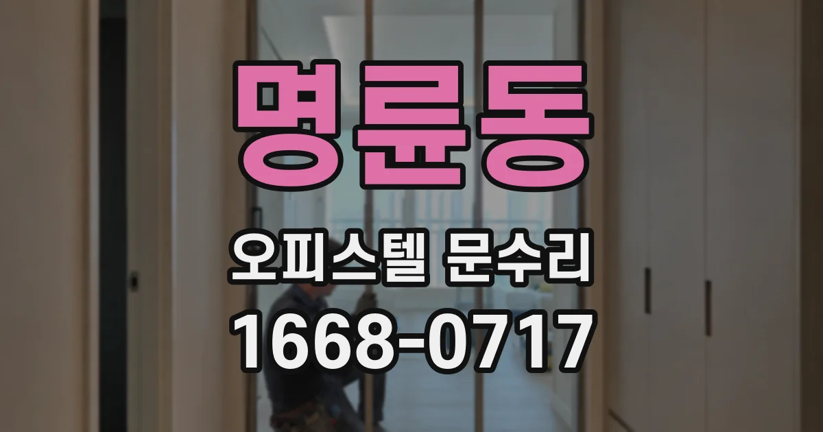 명륜동 오피스텔 문수리