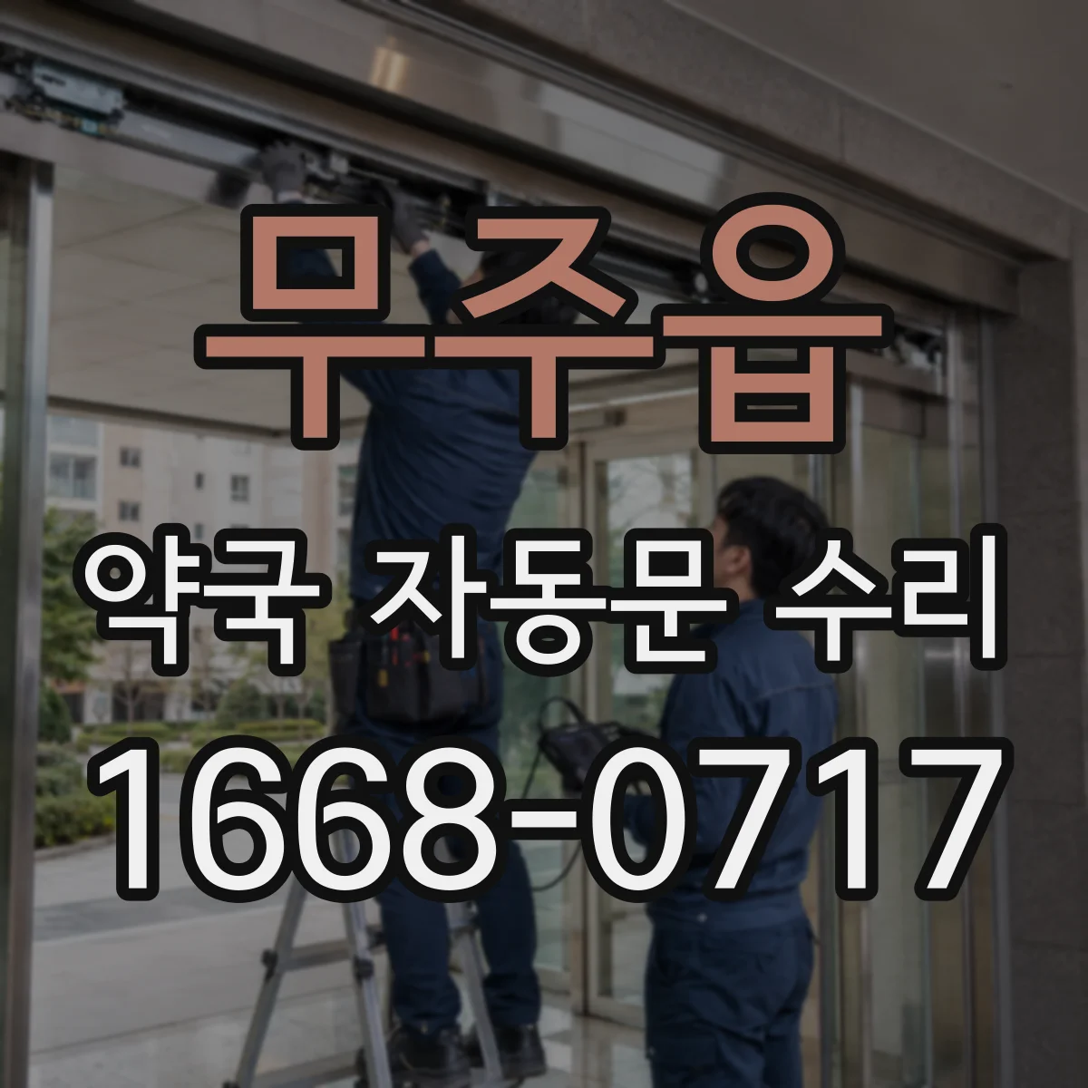 무주읍 약국 자동문 수리