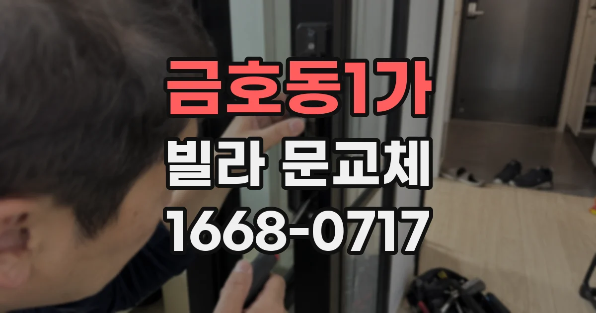 금호동1가 빌라 문교체