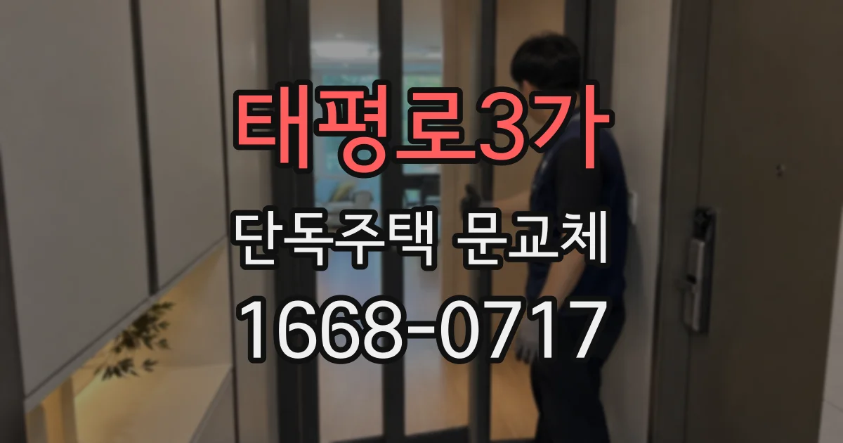태평로3가 단독주택 문교체