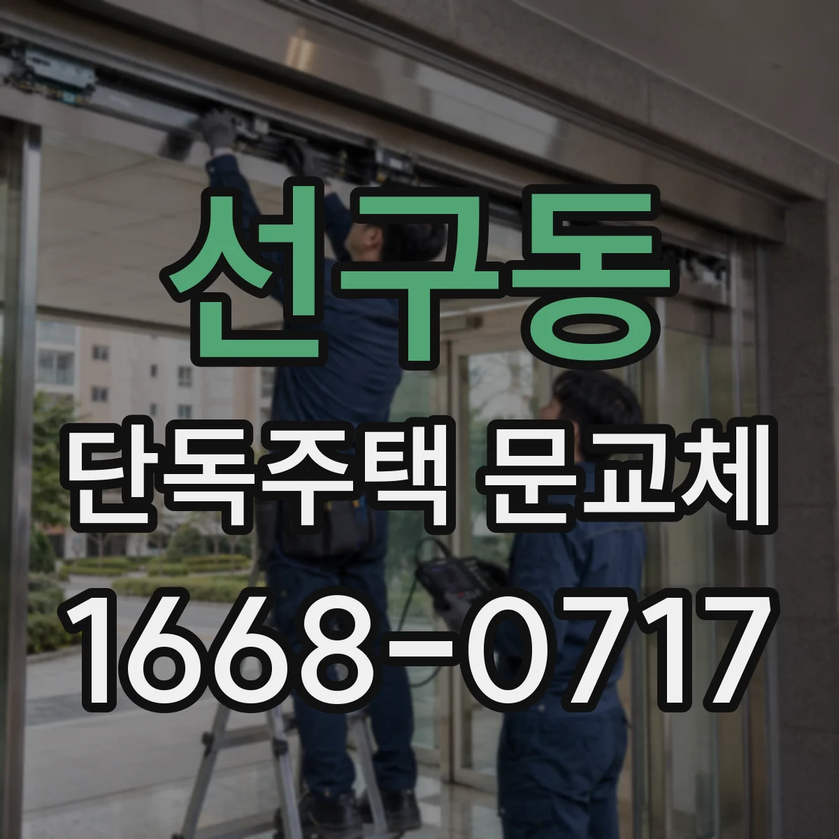 선구동 단독주택 문교체