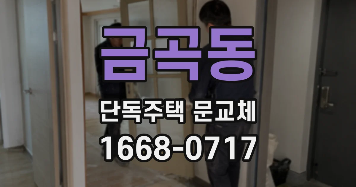 금곡동 단독주택 문교체