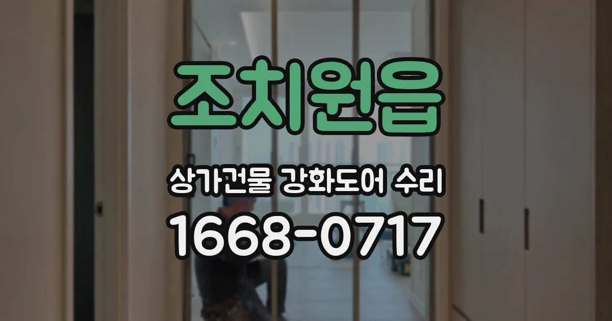 조치원읍 상가건물 강화도어 수리