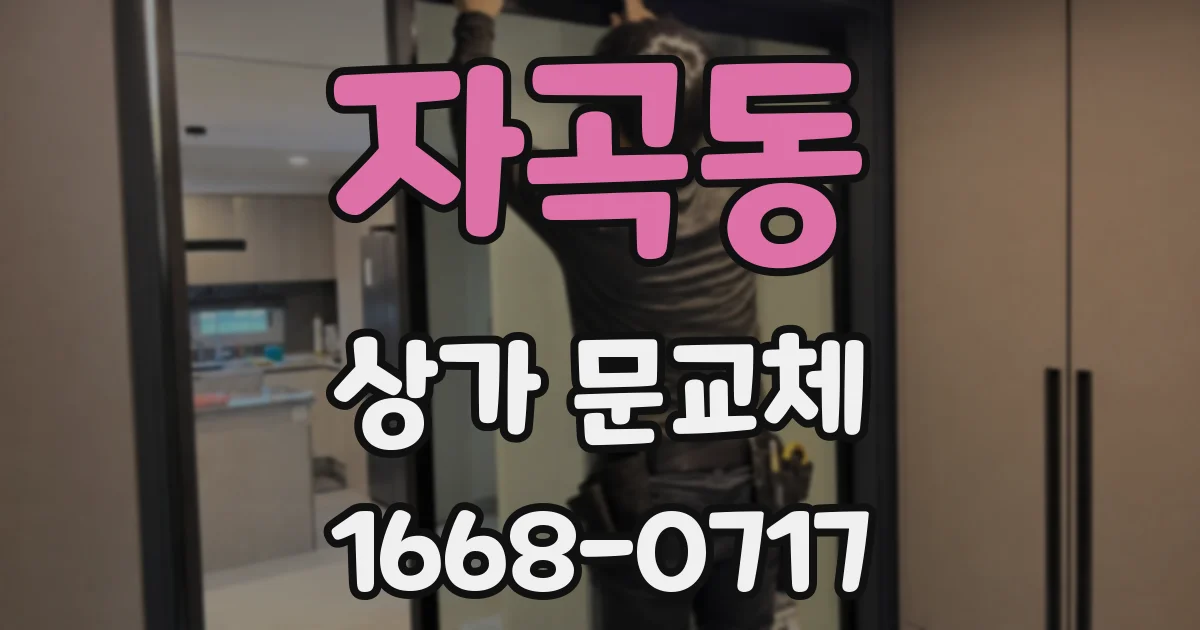 자곡동 상가 문교체