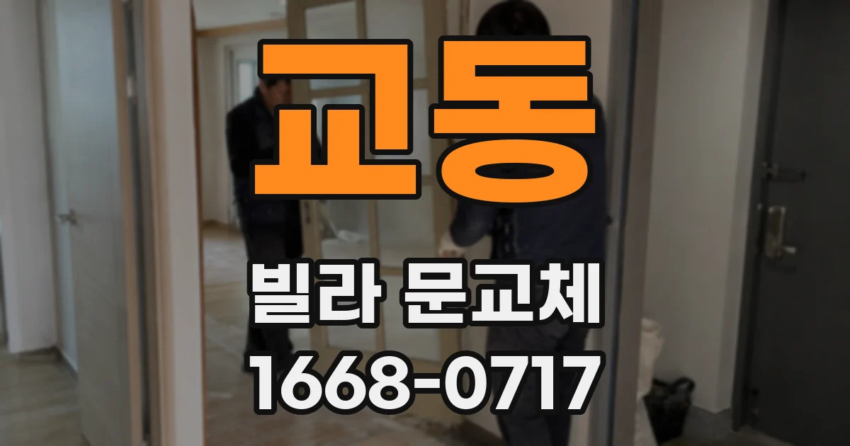 교동 빌라 문교체
