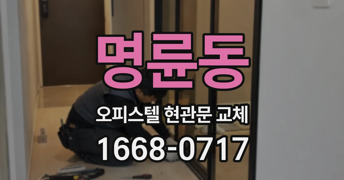 명륜동 오피스텔 현관문 교체