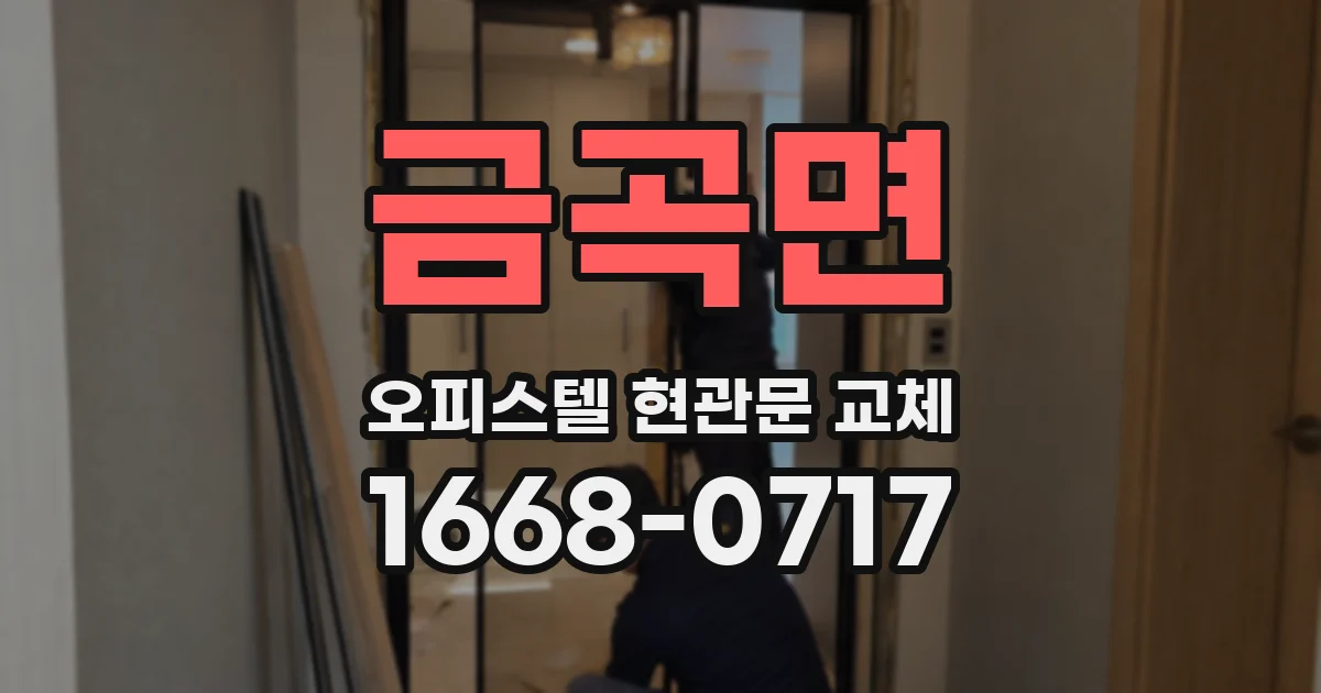 금곡면 오피스텔 현관문 교체