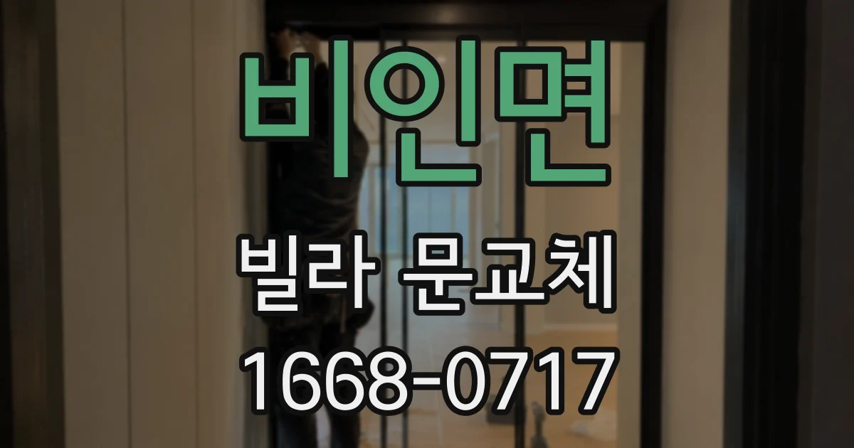 비인면 빌라 문교체