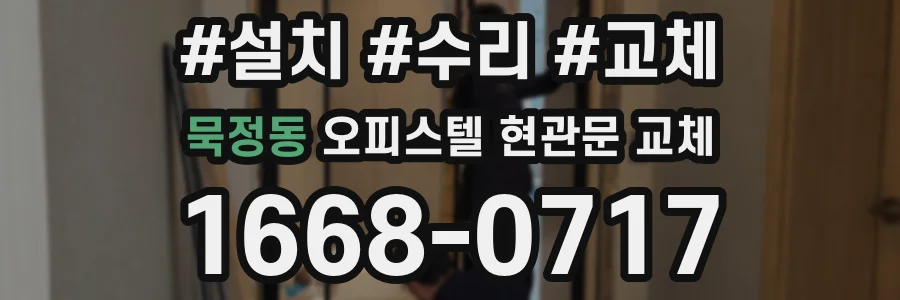 묵정동 오피스텔 현관문 교체