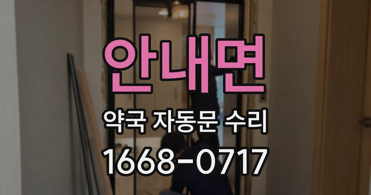 안내면 약국 자동문 수리