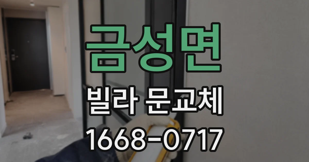 금성면 빌라 문교체