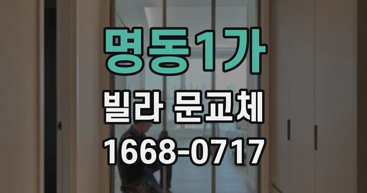 명동1가 빌라 문교체