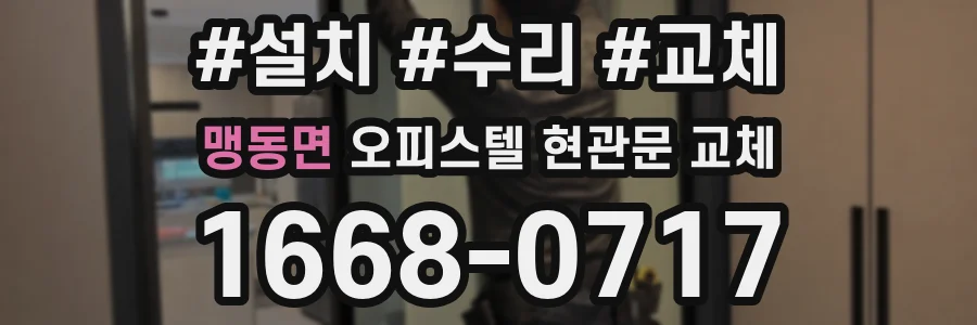 맹동면 오피스텔 현관문 교체