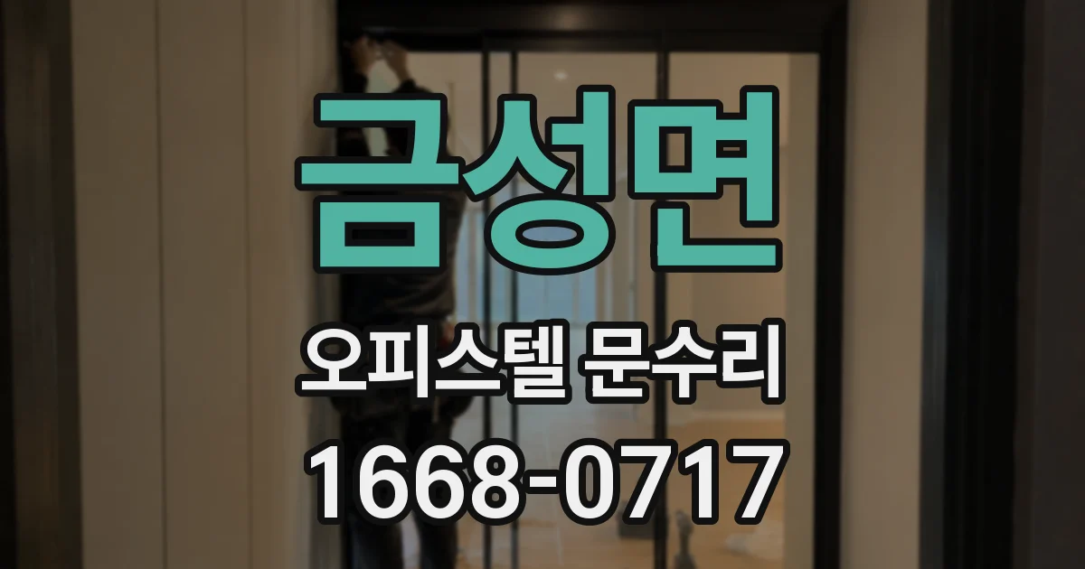 금성면 오피스텔 문수리
