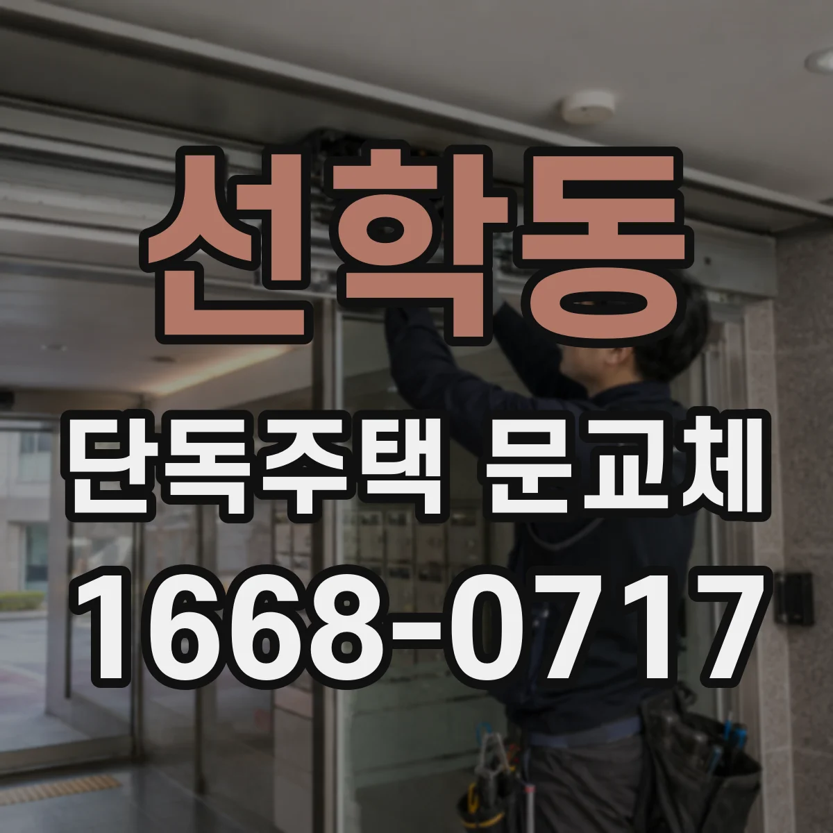 선학동 단독주택 문교체