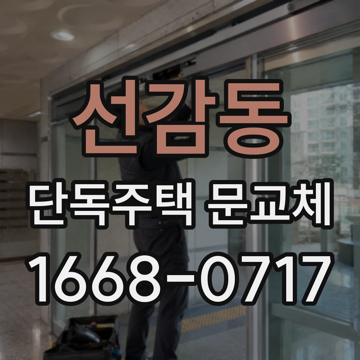선감동 단독주택 문교체