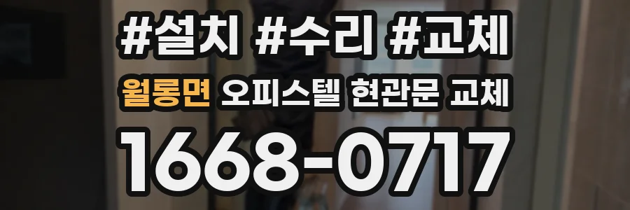 월롱면 오피스텔 현관문 교체